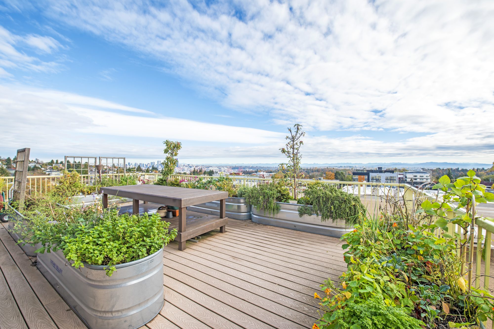 Link Rooftop Community Garden
