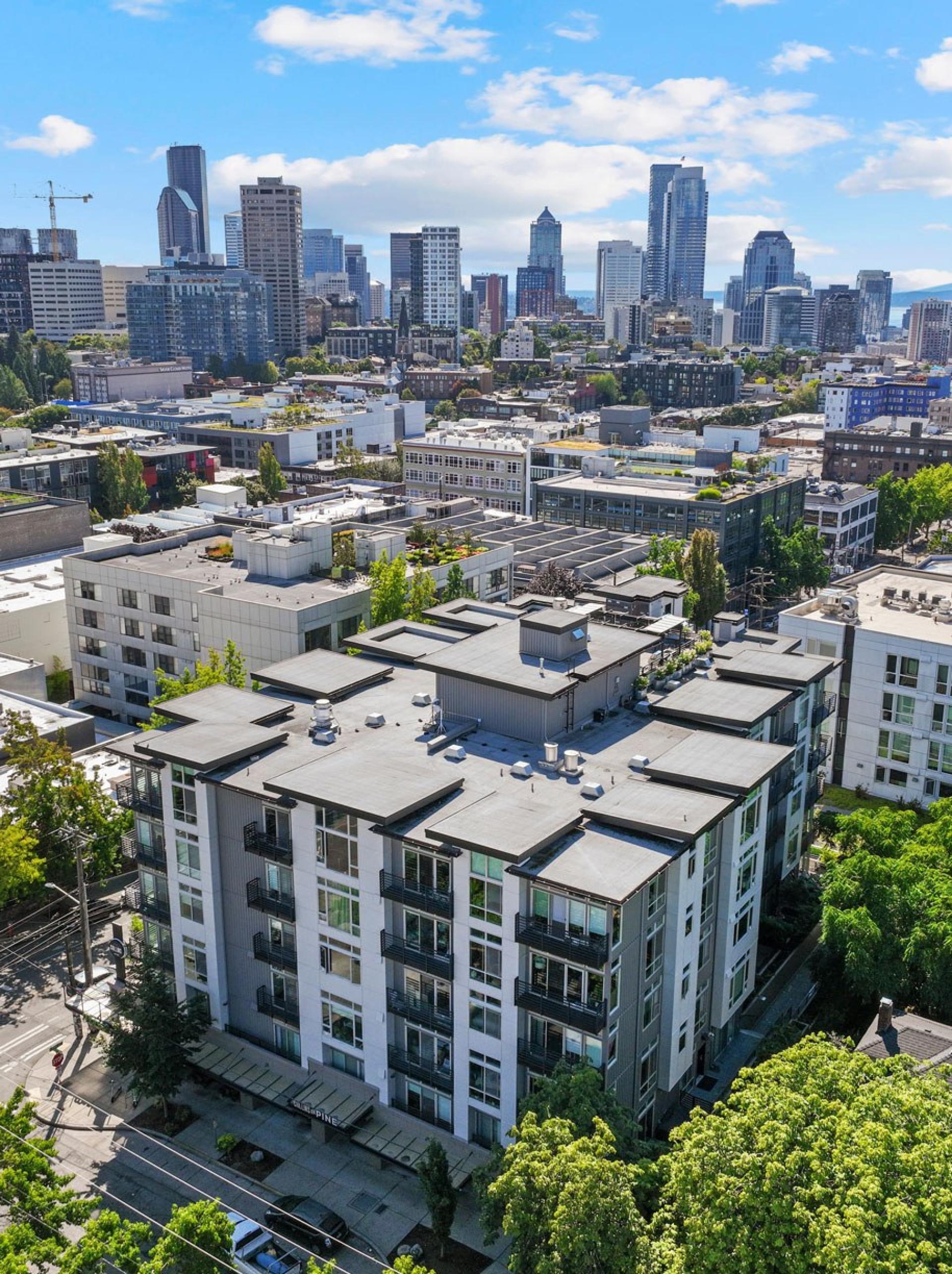 Collins on Pine Aerial View