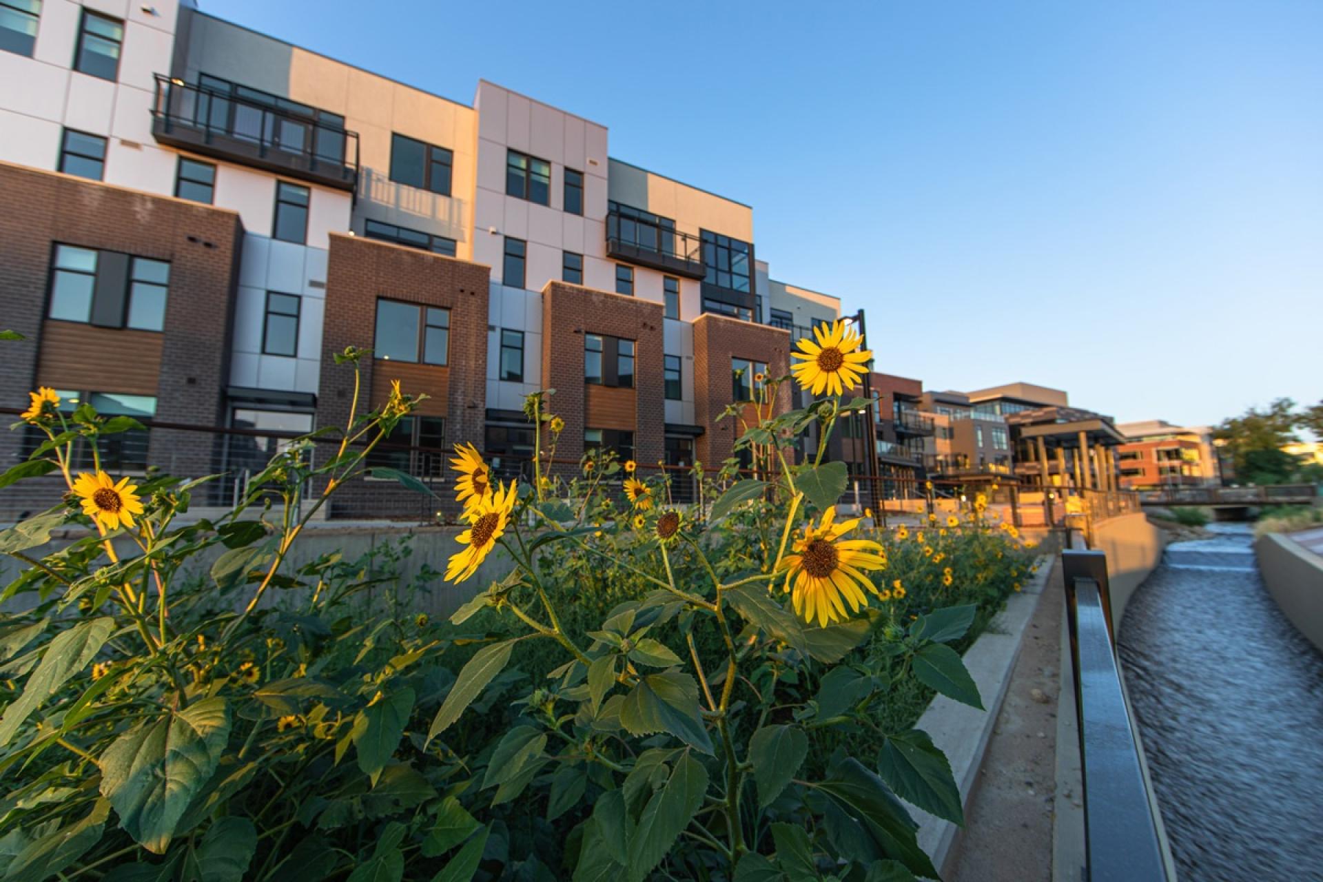 Reve Exterior Photo